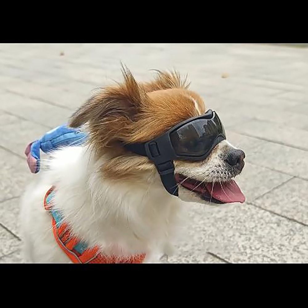 Silicon+PC+Nylon Pet Goggles A - Windsor Knot Tie 评论和价格