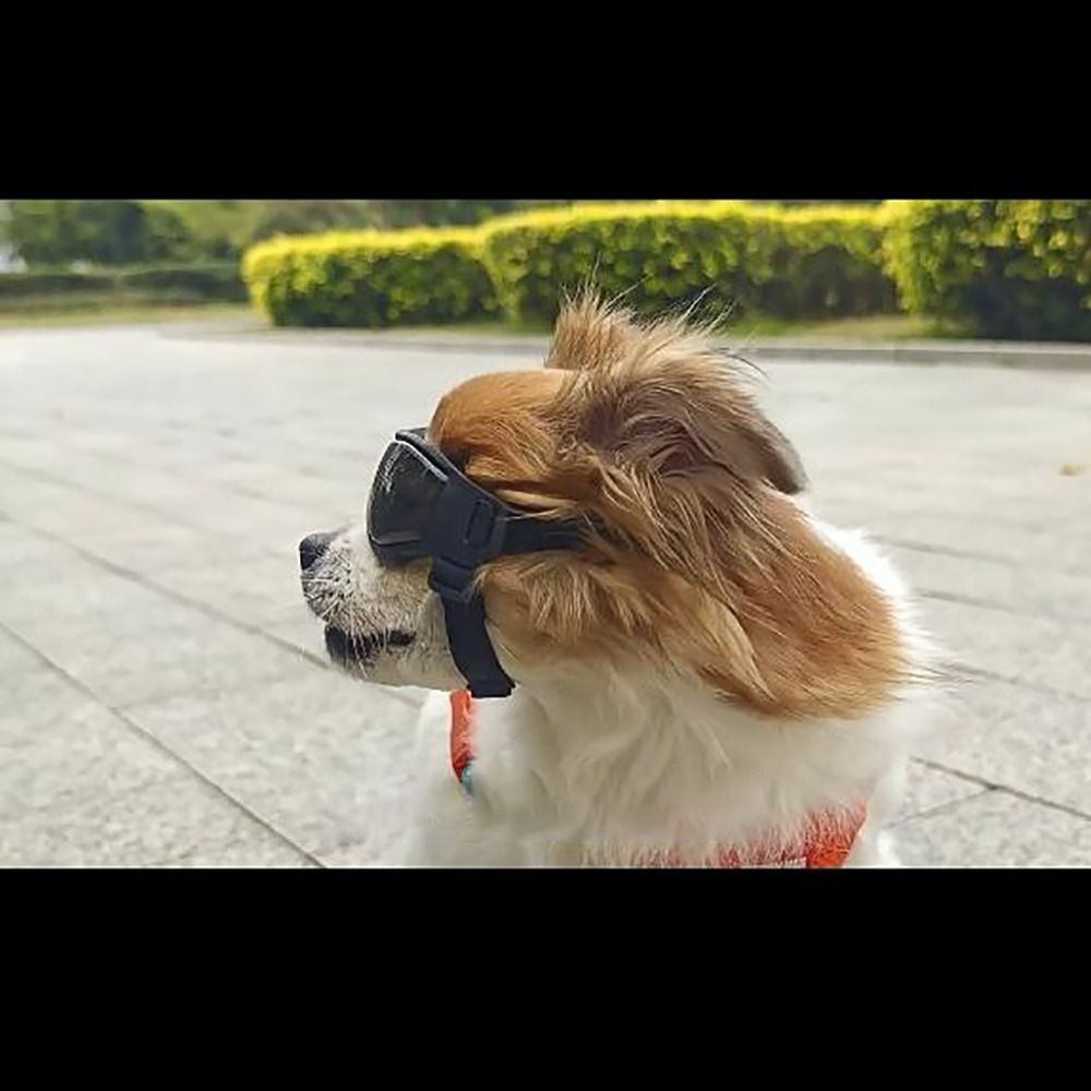 Silicon+PC+Nylon Pet Goggles A - Windsor Knot Tie 评论和价格